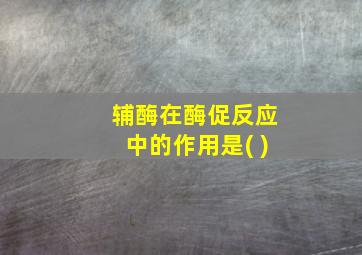 辅酶在酶促反应中的作用是( )